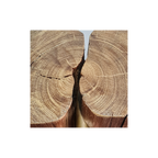 Close-up of a cut tree trunk showing annual rings used in lamp