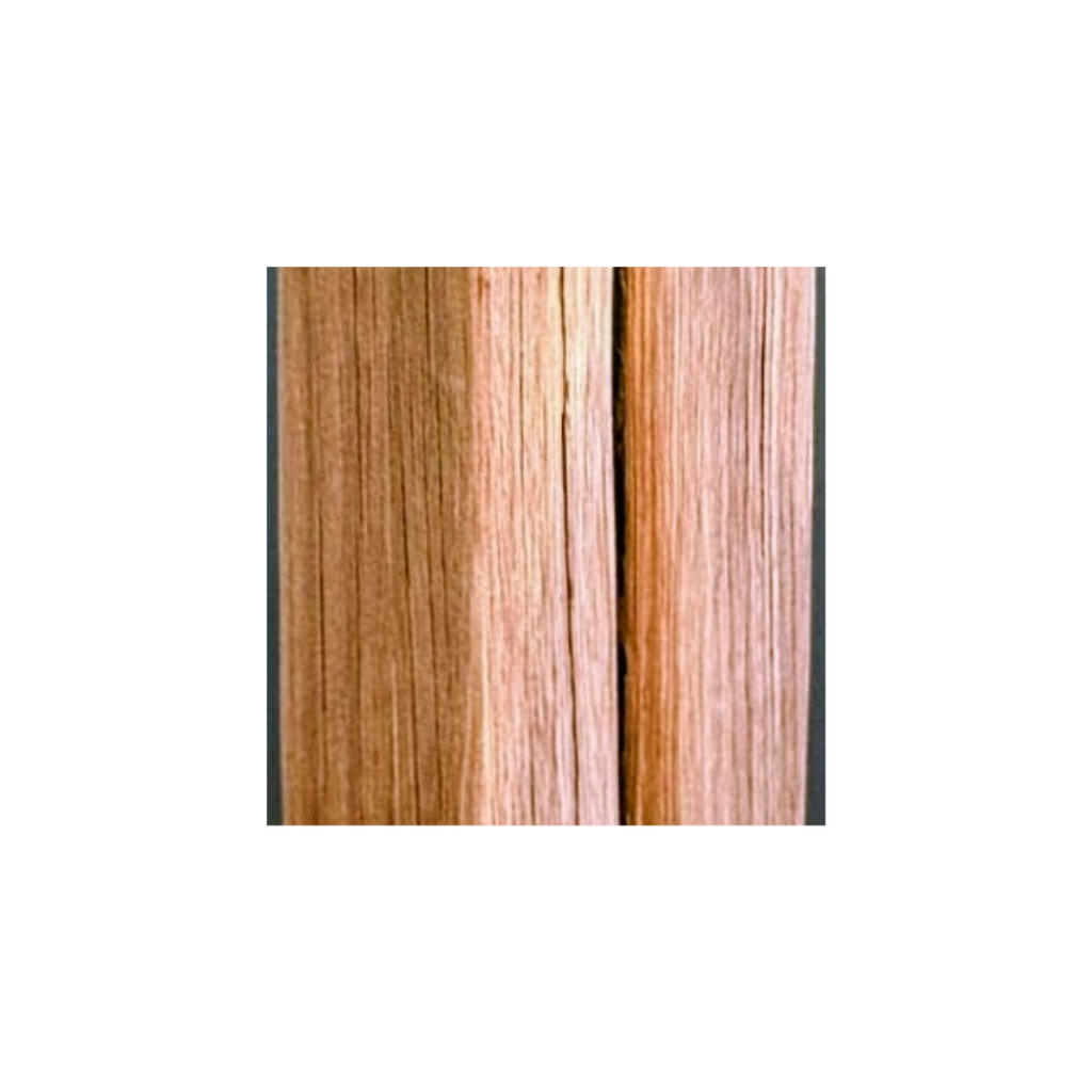 Close up to wood trunk used in lamp