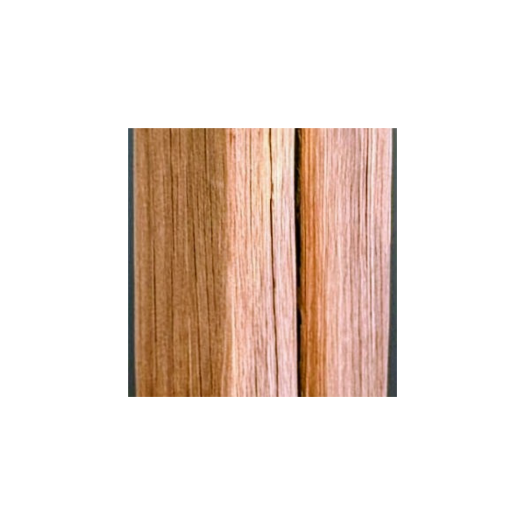 Close up to wood trunk used in lamp
