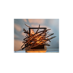 Lamp made of intertwined branches with a white background
