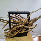 Driftwood lamp with a warm glow on a white background